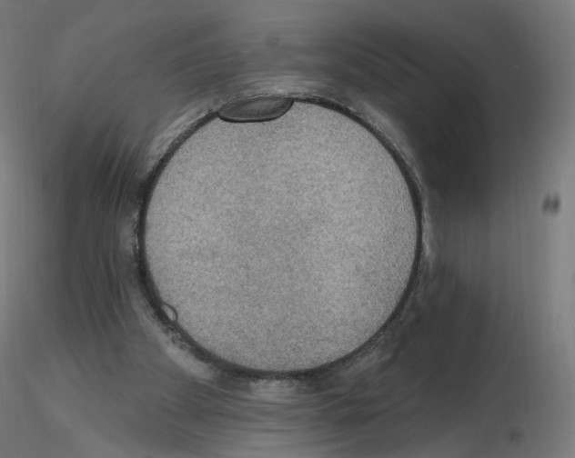 X0000115610105200912221215