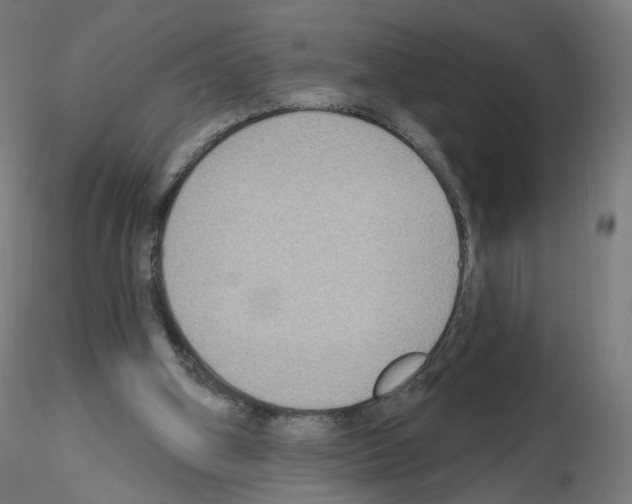 X0000115610106200912221215