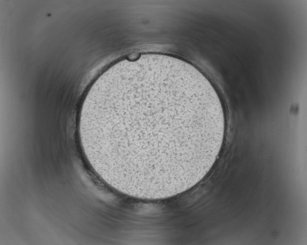 X0000115610107200912221215