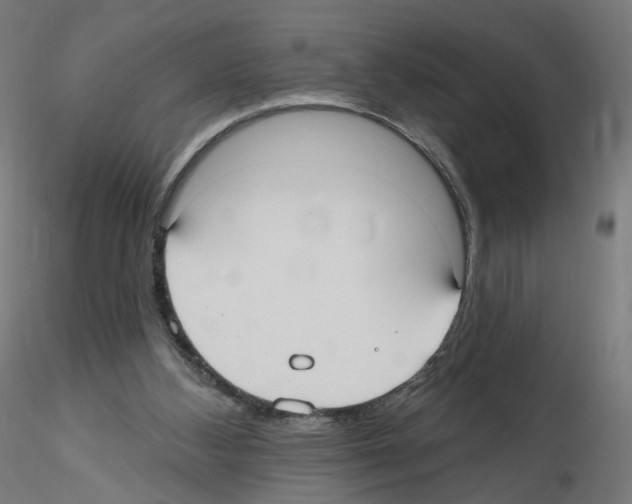 X0000115610108200912221215