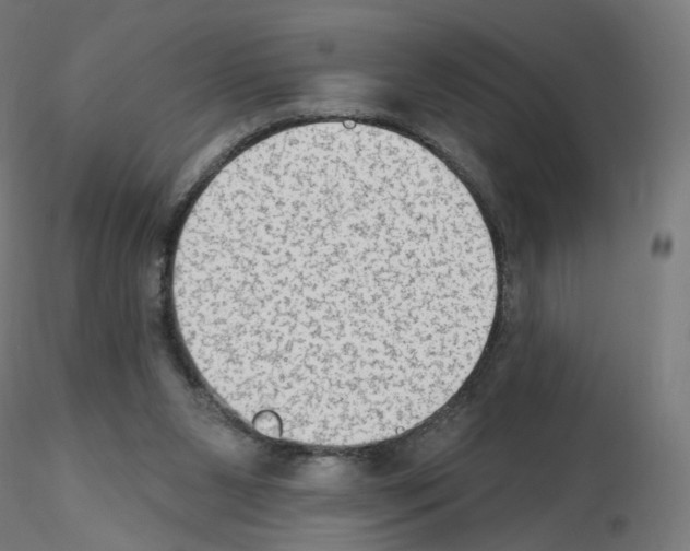 X0000115610111200912221215