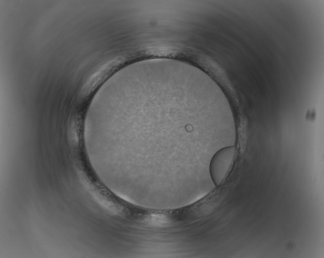 X0000115610114200912221215