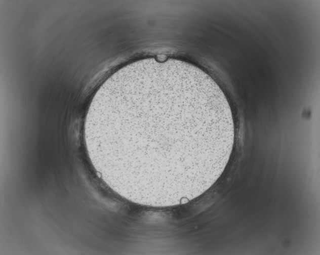 X0000115610115200912221215