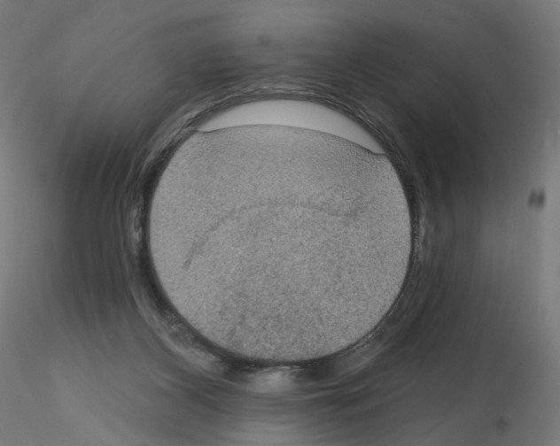 X0000115610116200912221215