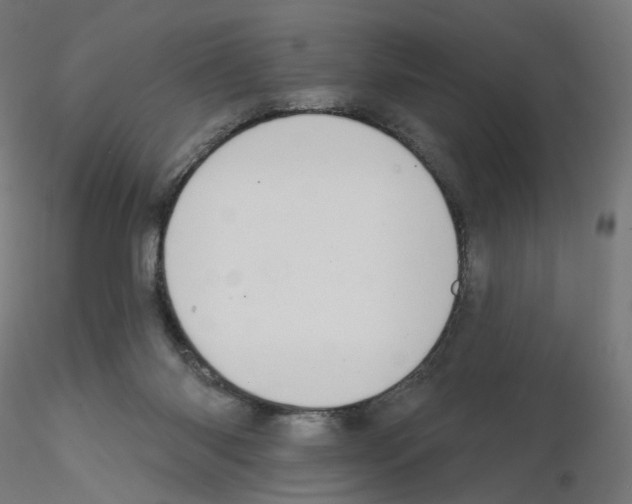 X0000115610118200912221215