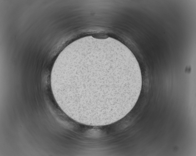 X0000115610119200912221215