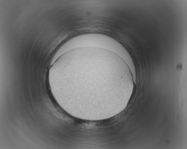 X0000115610120200912221215