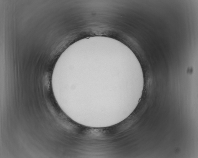 X0000115610121200912221215