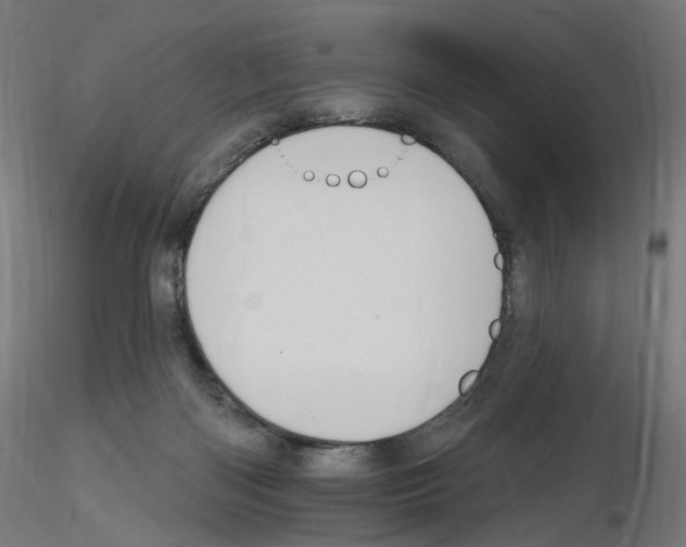 X0000115610122200912221215