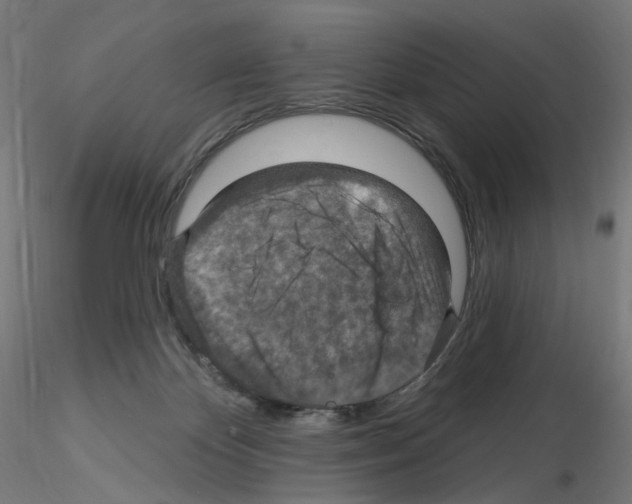 X0000115610124200912221215