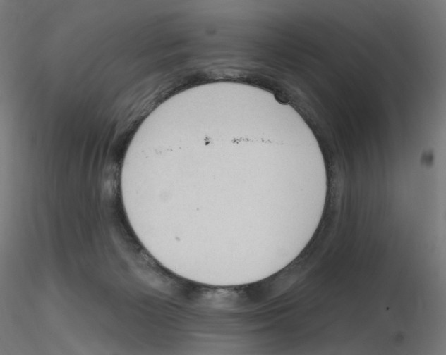 X0000115610125200912221215
