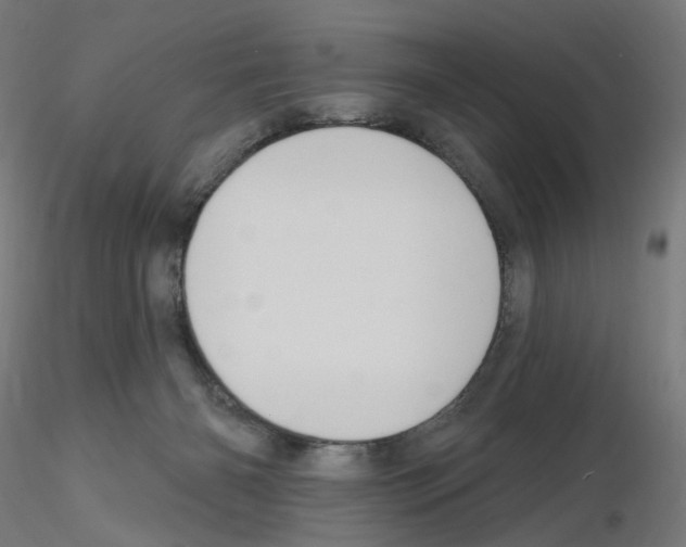 X0000115610126200912221215