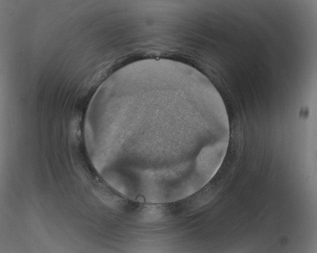 X0000115610127200912221215