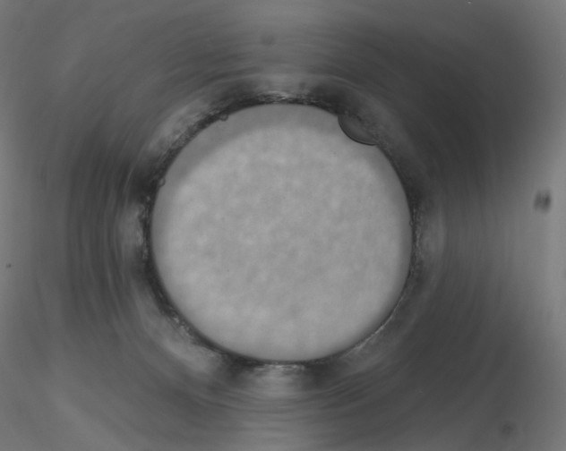 X0000115610128200912221215