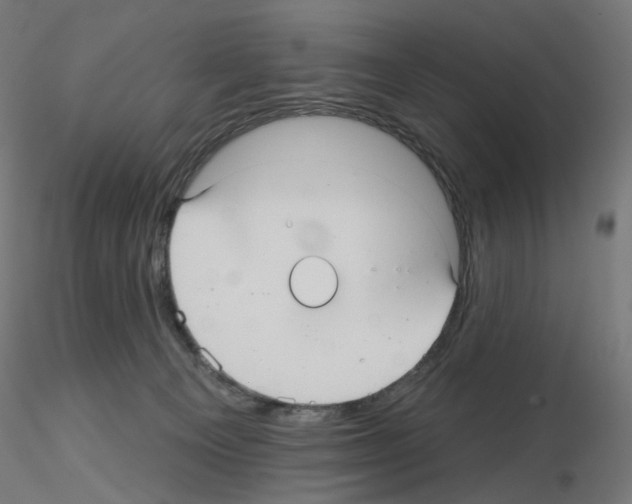 X0000115610129200912221215