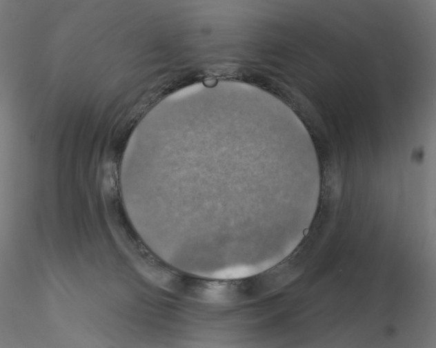 X0000115610130200912221215