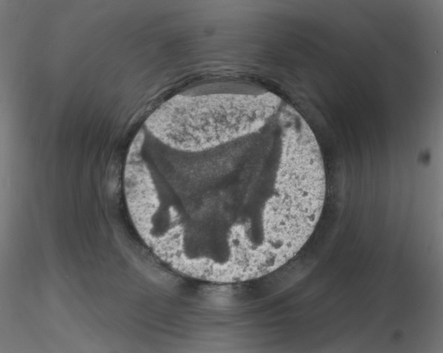 X0000115610131200912221215