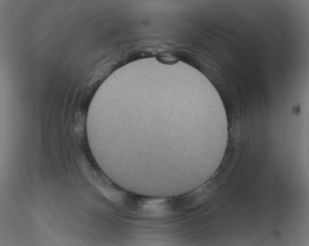 X0000115610132200912221215