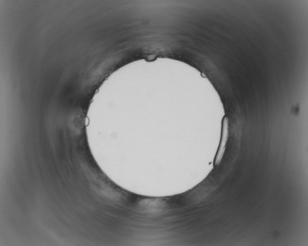 X0000115610133200912221215
