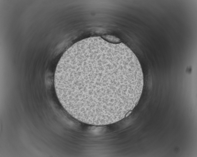 X0000115610135200912221215