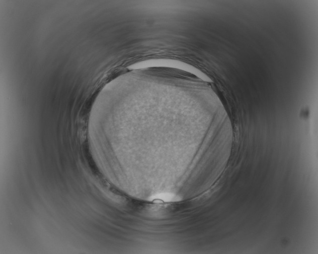 X0000115610136200912221215