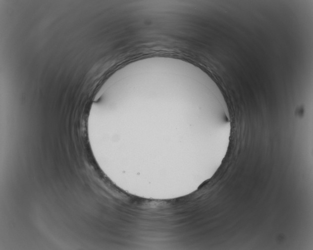 X0000115610137200912221215