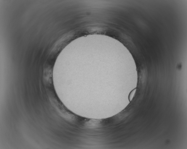 X0000115610138200912221215