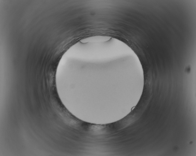 X0000115610139200912221215