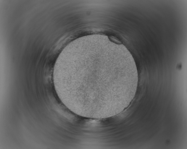 X0000115610140200912221215
