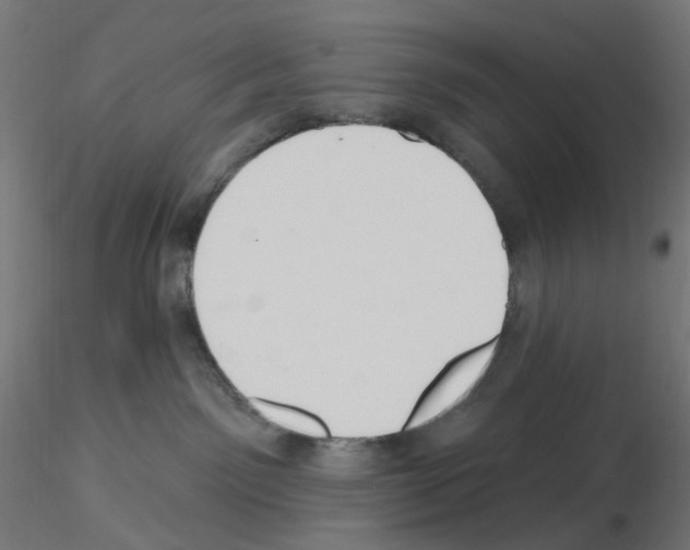 X0000115610141200912221215