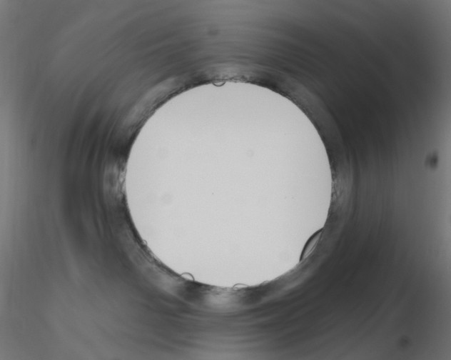 X0000115610142200912221215