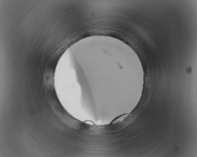 X0000115610143200912221215
