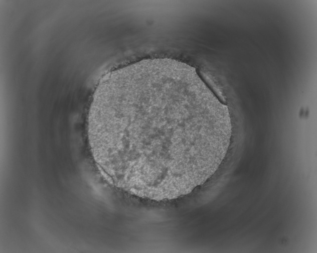 X0000115610144200912221215
