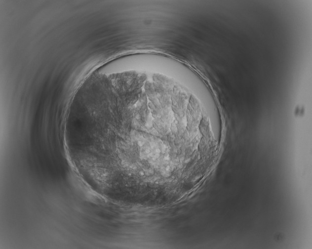 X0000115610145200912221214