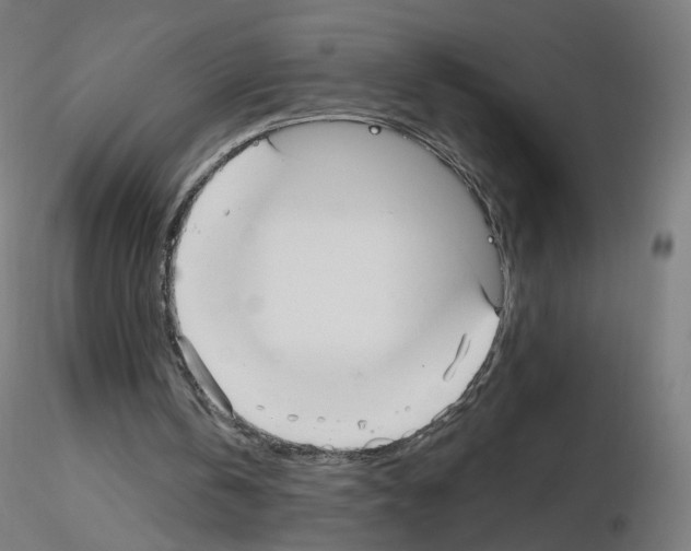 X0000115610146200912221214