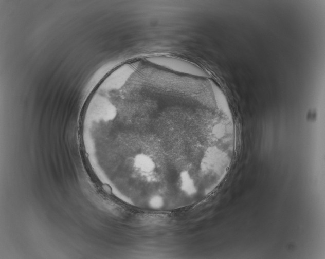 X0000115610147200912221214