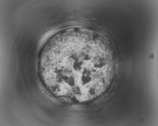 X0000115610149200912221214