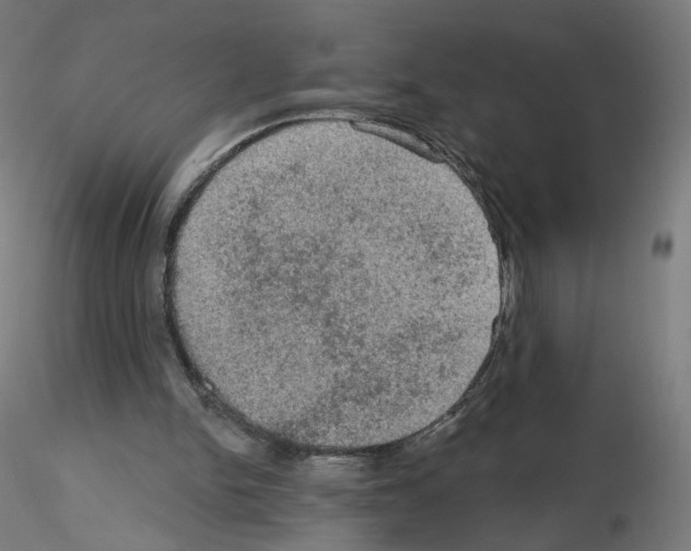 X0000115610150200912221214