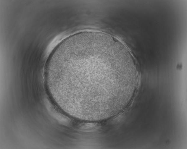 X0000115610151200912221214