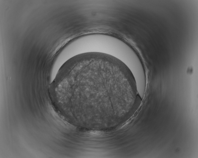 X0000115610154200912221214