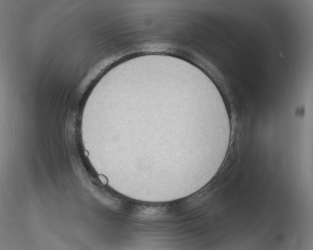 X0000115610155200912221214
