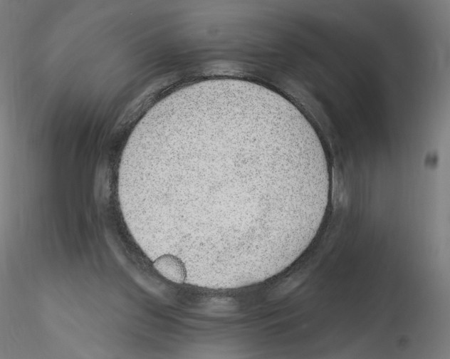 X0000115610157200912221214