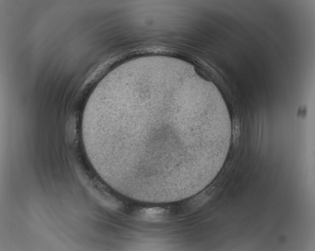 X0000115610158200912221214
