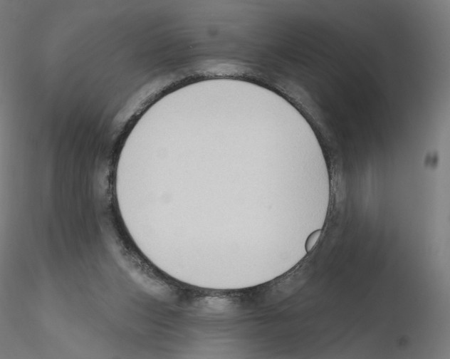 X0000115610159200912221214