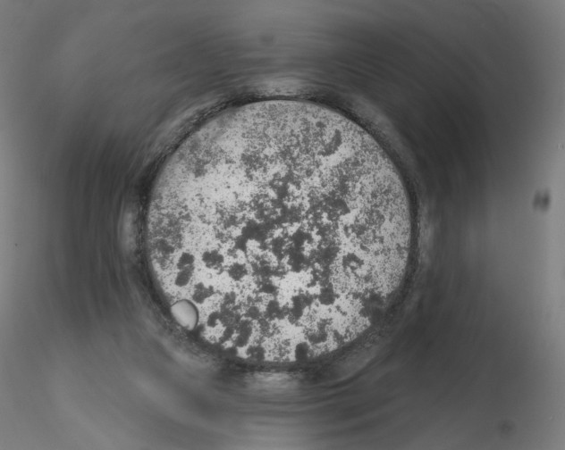 X0000115610161200912221214