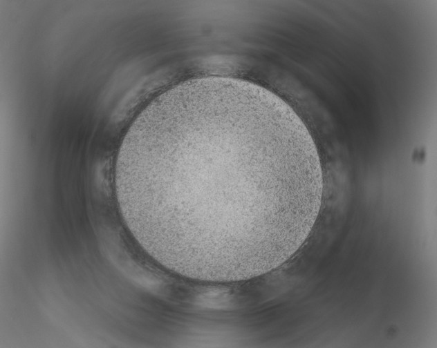 X0000115610162200912221214