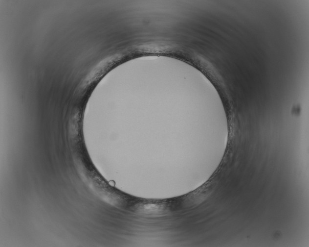 X0000115610163200912221214