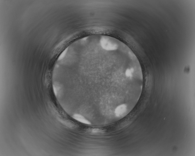 X0000115610165200912221214
