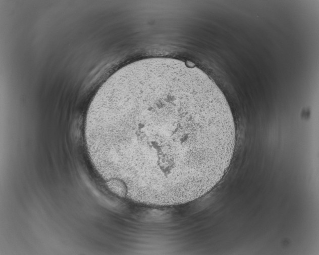 X0000115610166200912221214