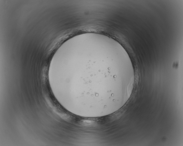 X0000115610167200912221214